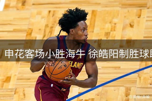申花客场小胜海牛 徐皓阳制胜球助球队带走三分